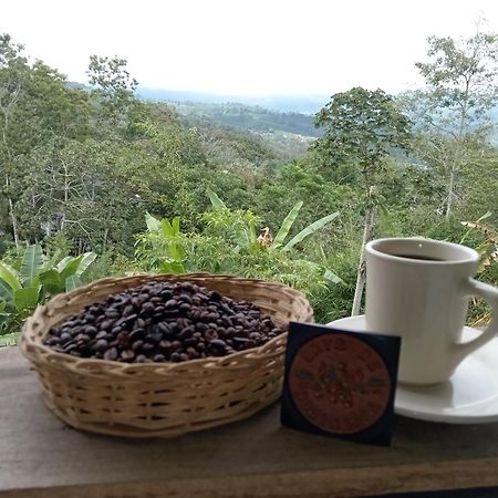 Hotel Green Mountain Turrialba Exterior foto