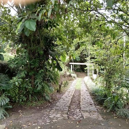 Hotel Green Mountain Turrialba Exterior foto