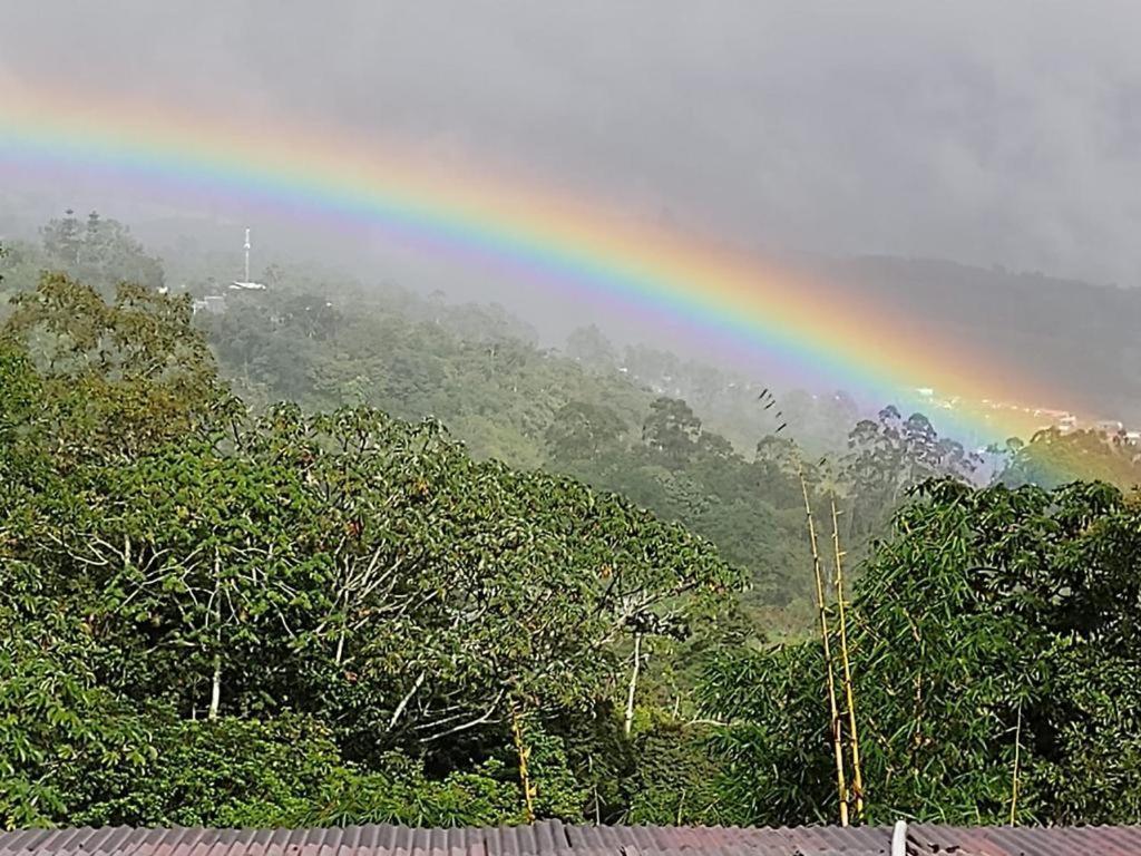 Hotel Green Mountain Turrialba Exterior foto