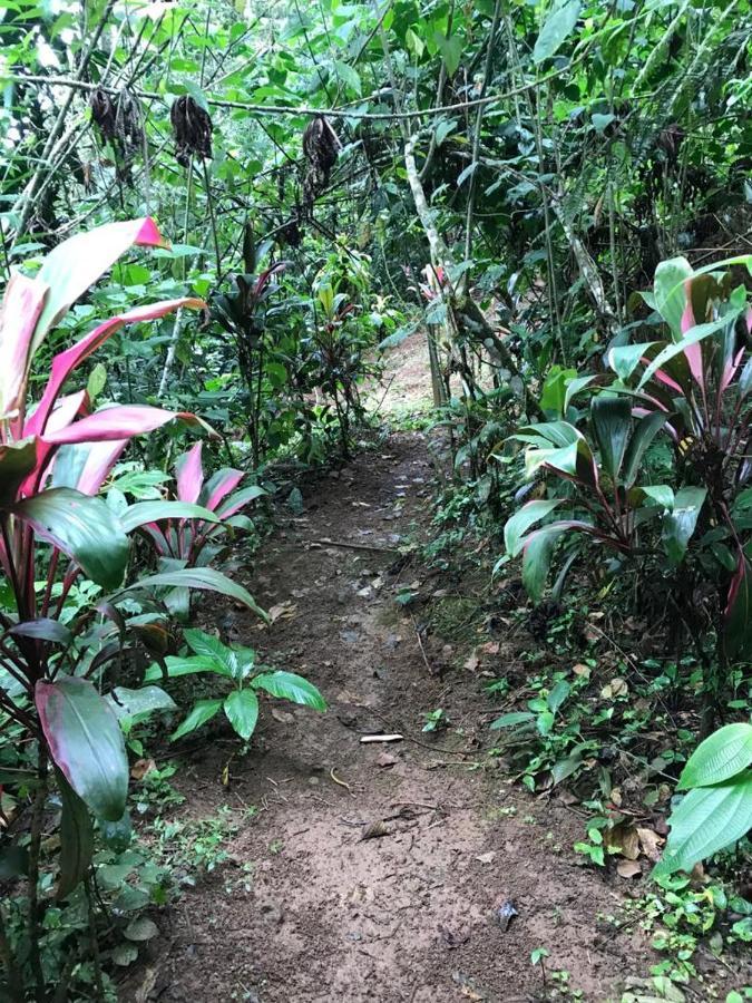 Hotel Green Mountain Turrialba Exterior foto