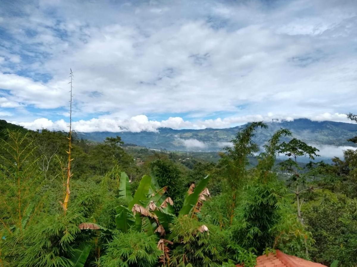 Hotel Green Mountain Turrialba Exterior foto