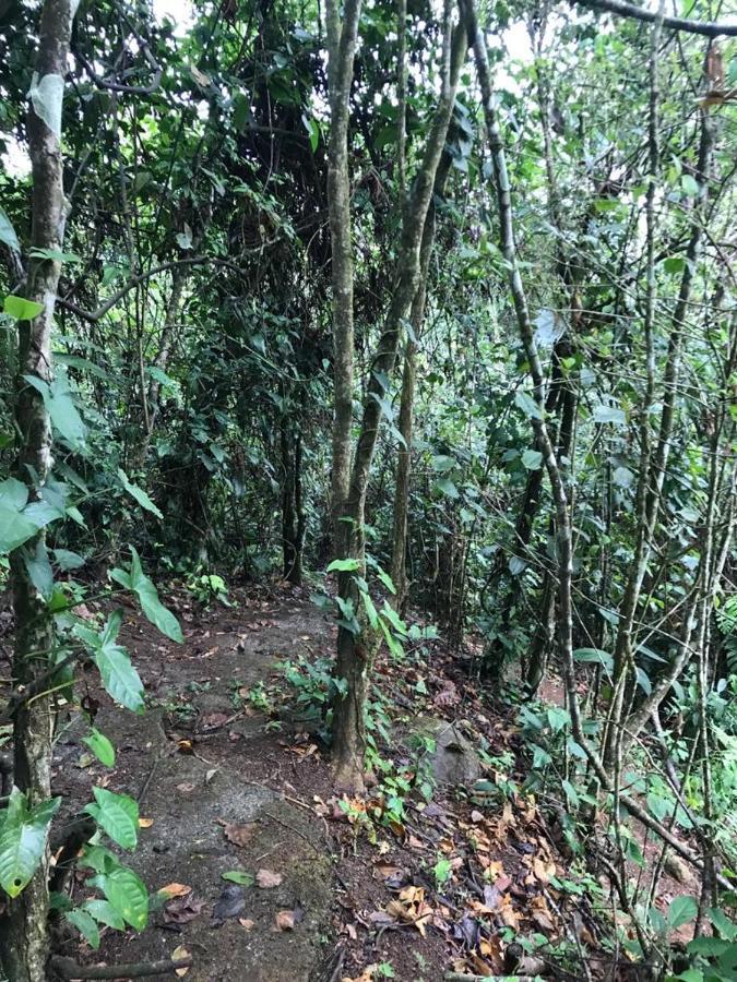 Hotel Green Mountain Turrialba Exterior foto