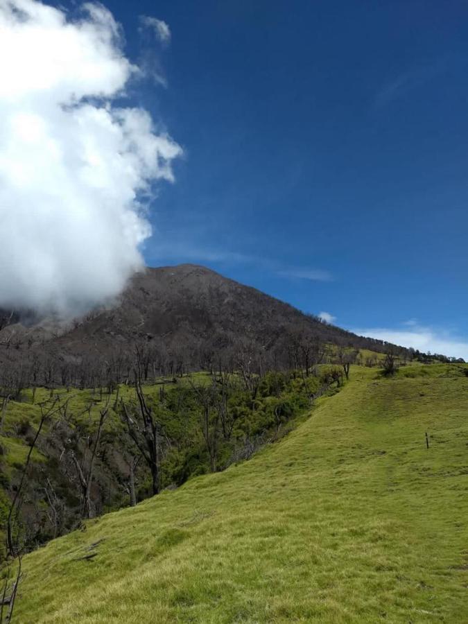 Hotel Green Mountain Turrialba Exterior foto